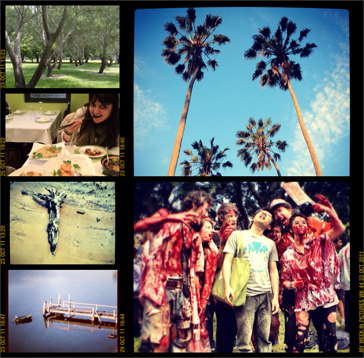 My week in pictures 23 Oct 2011 #weekinpix