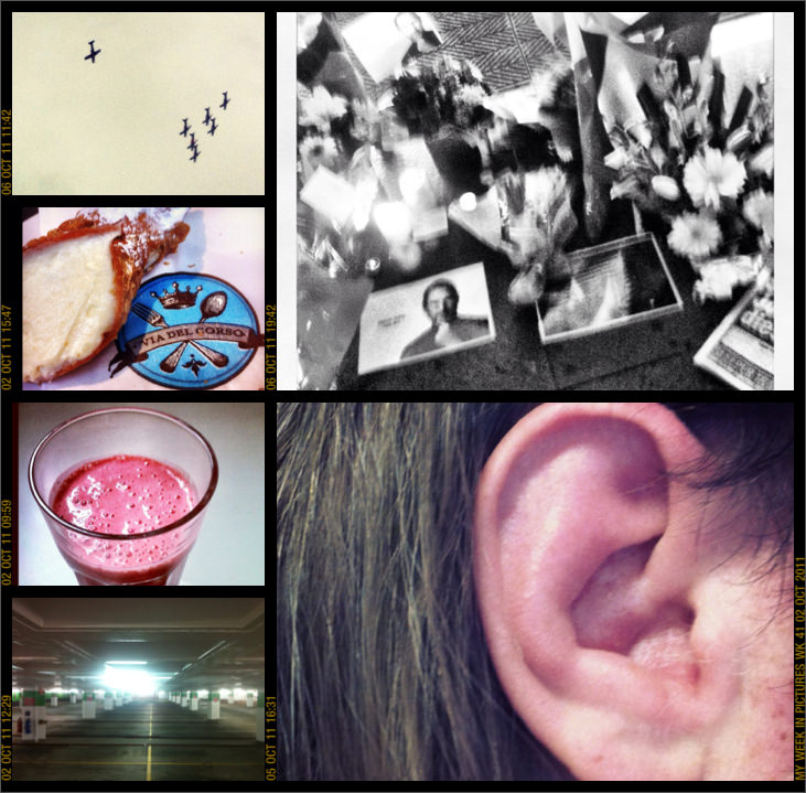 My week in pictures 02 Oct 2011 #weekinpix