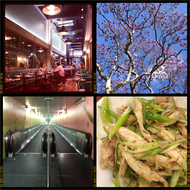 My week in pictures 30 Oct 2011 #weekinpix