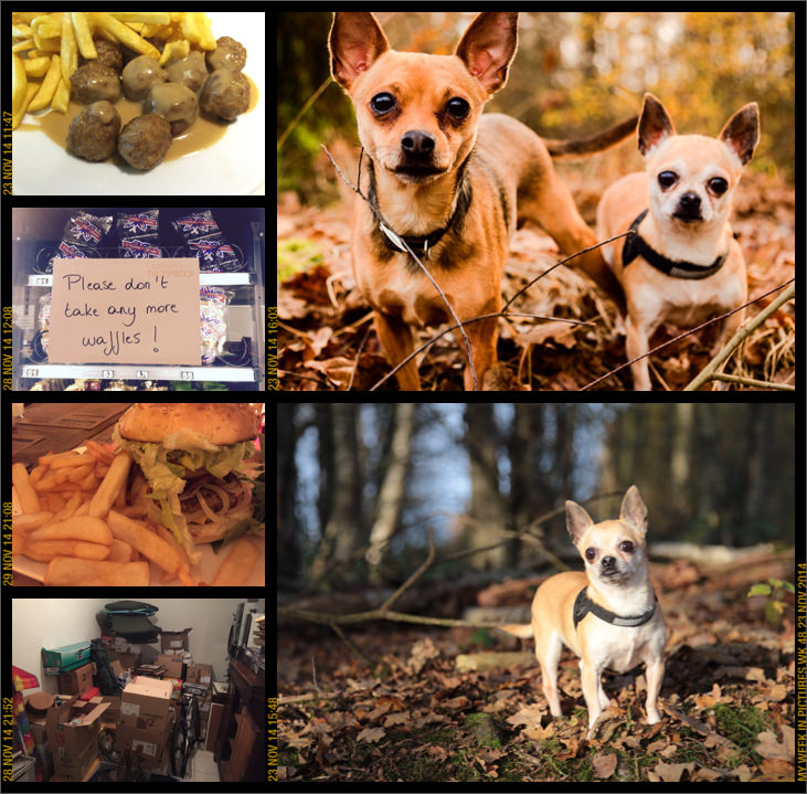 My week in pictures 23 Nov 2014 #weekinpix