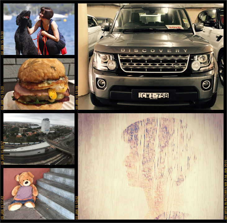 My week in pictures 04 Jan 2015 #weekinpix