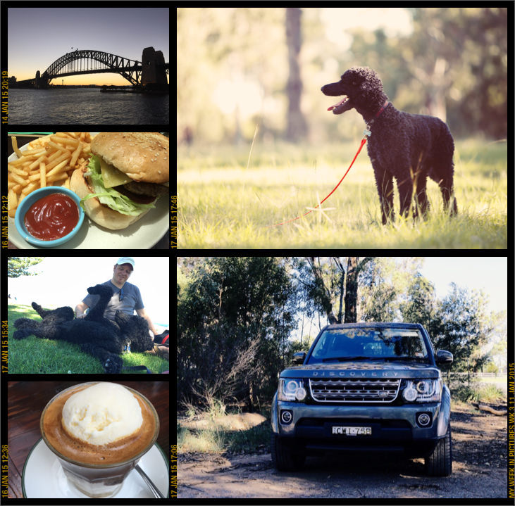 My week in pictures 11 Jan 2015 #weekinpix