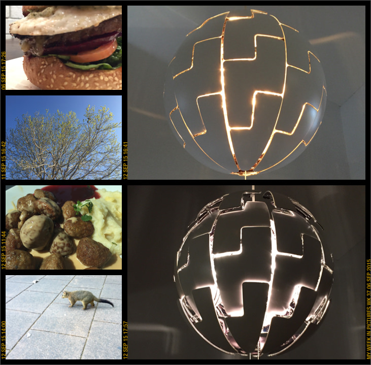 My week in pictures 06 Sep 2015 #weekinpix