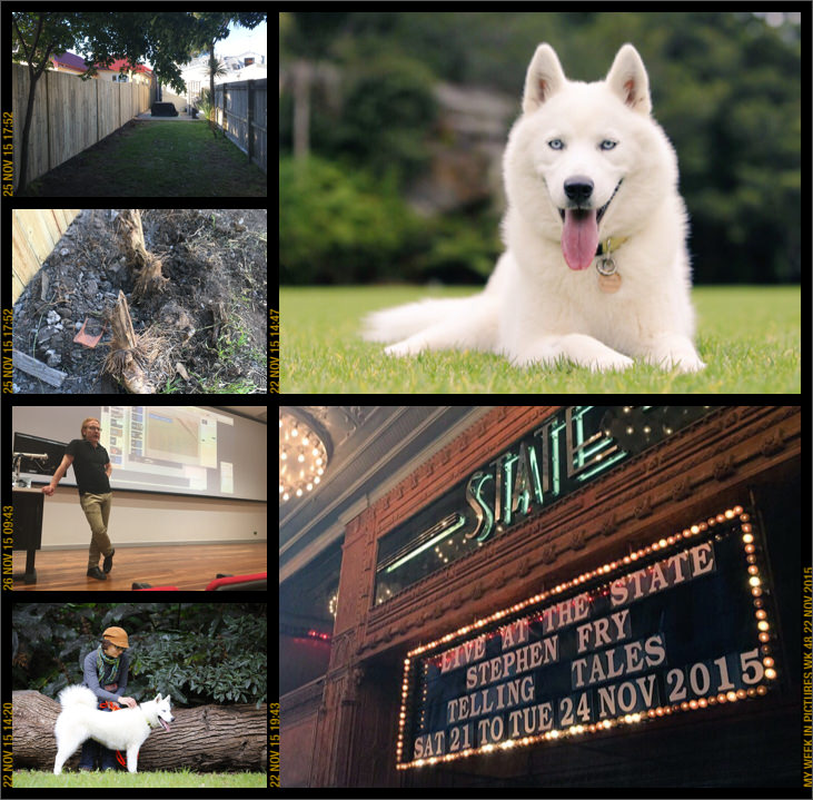 My week in pictures 22 Nov 2015 #weekinpix