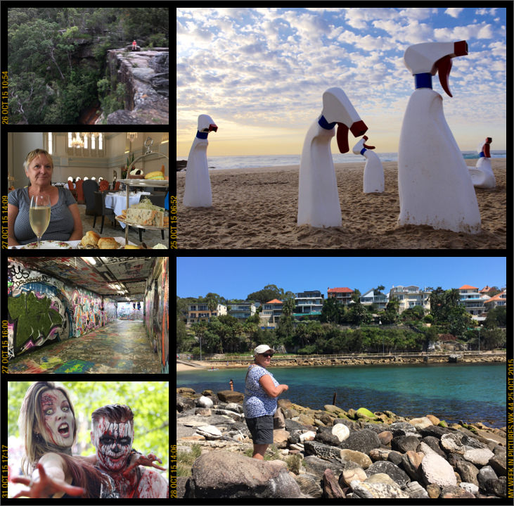 My week in pictures 25 Oct 2015 #weekinpix