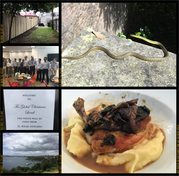 My week in pictures 29 Nov 2015 #weekinpix