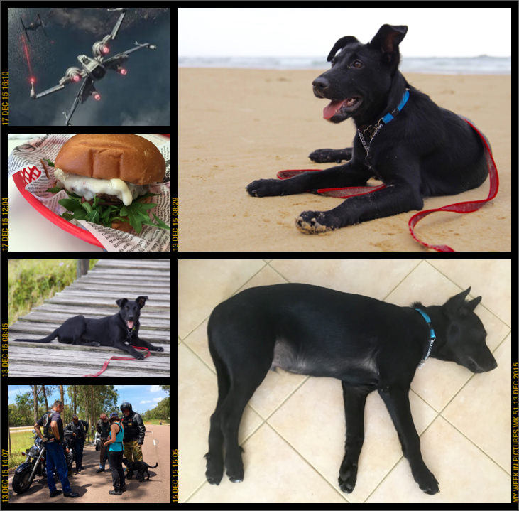 My week in pictures 13 Dec 2015 #weekinpix