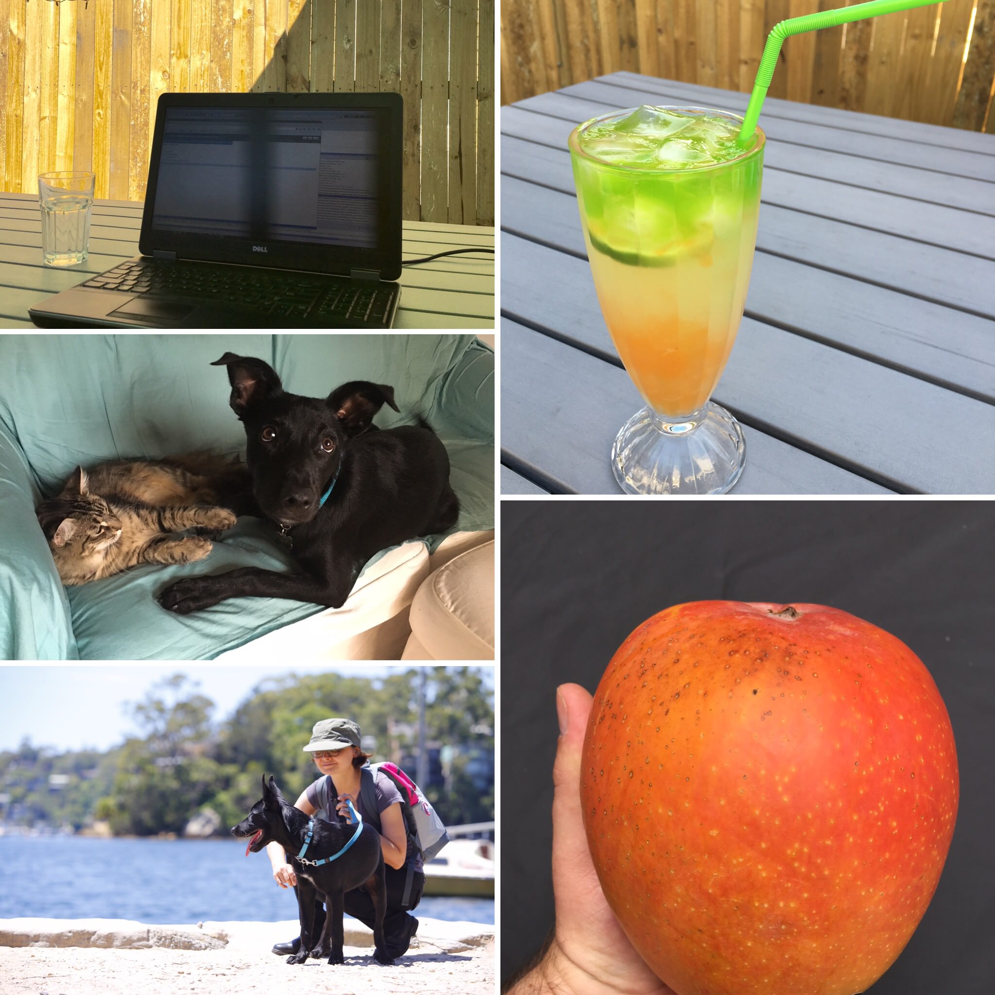 My week in pictures 27 Dec 2015  #weekinpix